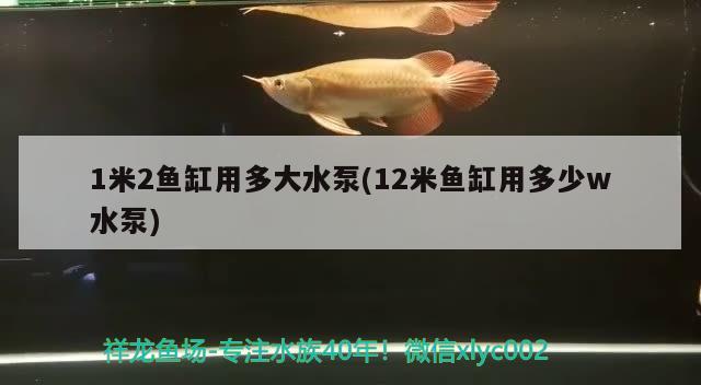 1米2魚缸用多大水泵(12米魚缸用多少w水泵)