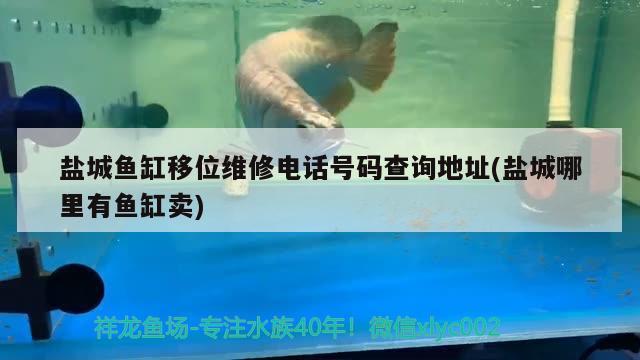 鹽城魚缸移位維修電話號碼查詢地址(鹽城哪里有魚缸賣) 魚缸清潔用具