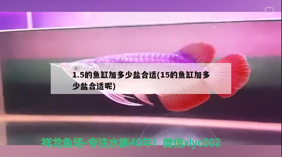 1.5的魚缸加多少鹽合適(15的魚缸加多少鹽合適呢)