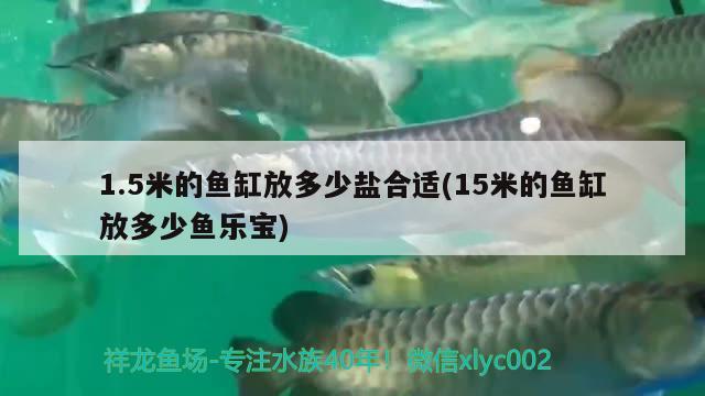 1.5米的魚(yú)缸放多少鹽合適(15米的魚(yú)缸放多少魚(yú)樂(lè)寶) 翡翠鳳凰魚(yú)