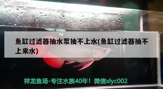 魚缸過濾器抽水泵抽不上水(魚缸過濾器抽不上來水)