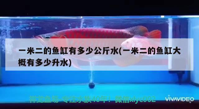 一米二的魚缸有多少公斤水(一米二的魚缸大概有多少升水)