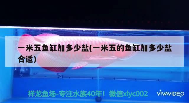 一米五魚缸加多少鹽(一米五的魚缸加多少鹽合適) 紅魔王銀版魚