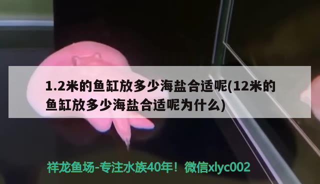 1.2米的魚(yú)缸放多少海鹽合適呢(12米的魚(yú)缸放多少海鹽合適呢為什么)