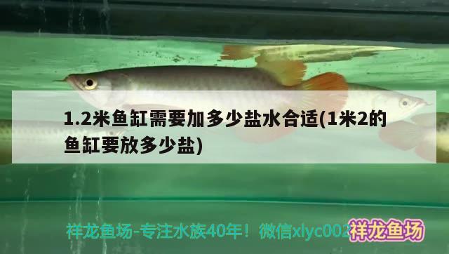 1.2米魚缸需要加多少鹽水合適(1米2的魚缸要放多少鹽)