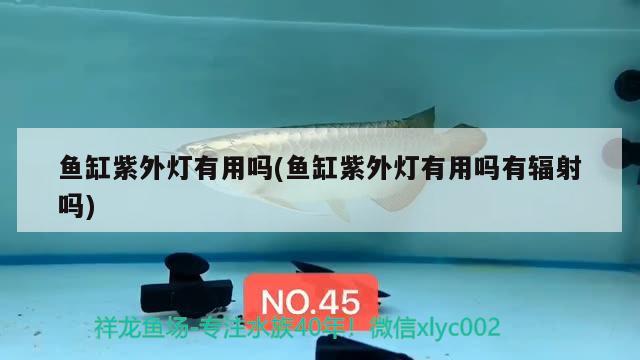 魚缸紫外燈有用嗎(魚缸紫外燈有用嗎有輻射嗎) 祥龍水族護理水