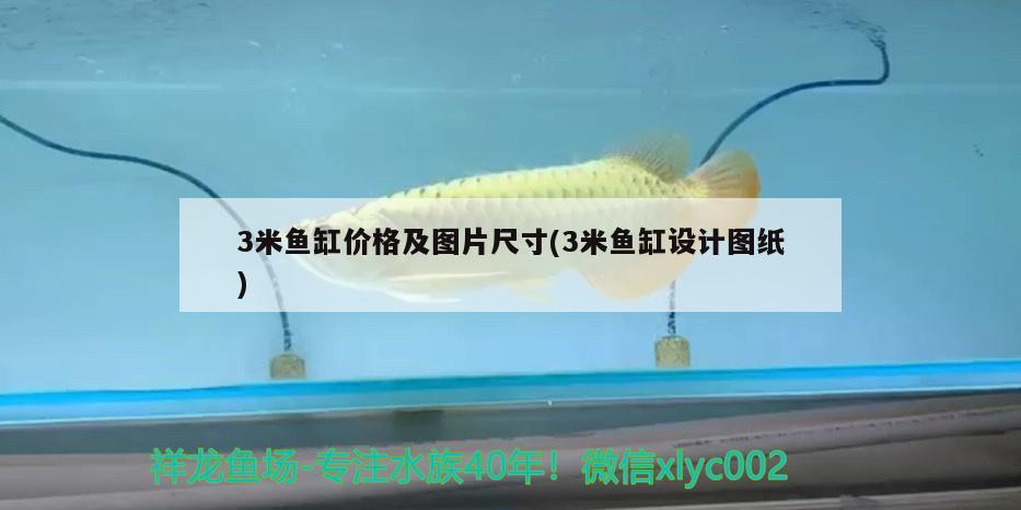 3米魚缸價(jià)格及圖片尺寸(3米魚缸設(shè)計(jì)圖紙) 雙線側(cè)魚