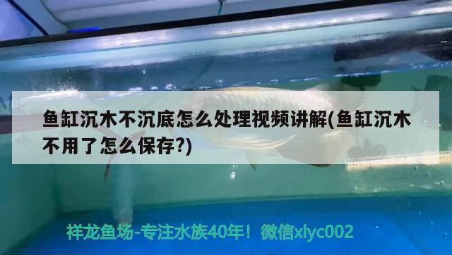 魚缸沉木不沉底怎么處理視頻講解(魚缸沉木不用了怎么保存?) 大湖紅龍魚