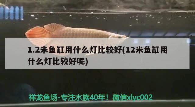 1.2米魚缸用什么燈比較好(12米魚缸用什么燈比較好呢)