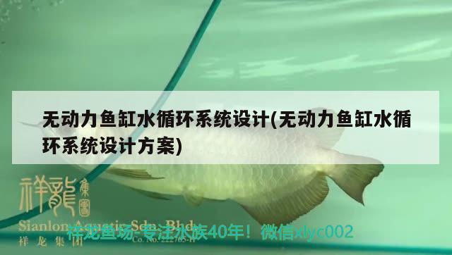 無(wú)動(dòng)力魚(yú)缸水循環(huán)系統(tǒng)設(shè)計(jì)(無(wú)動(dòng)力魚(yú)缸水循環(huán)系統(tǒng)設(shè)計(jì)方案)