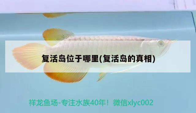 復(fù)活島位于哪里(復(fù)活島的真相) 觀賞魚