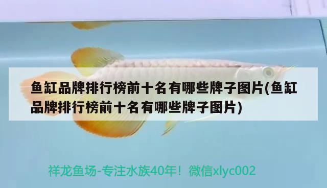 魚缸品牌排行榜前十名有哪些牌子圖片(魚缸品牌排行榜前十名有哪些牌子圖片) 青龍魚