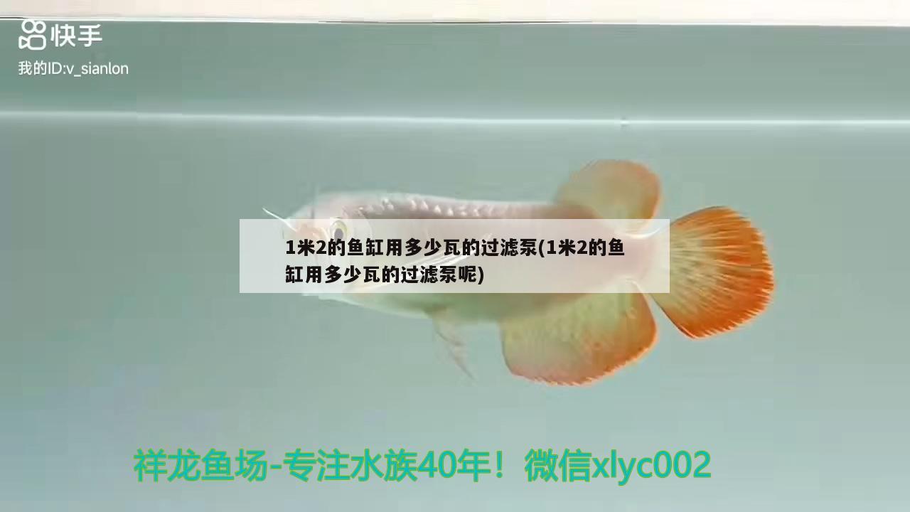 1米2的魚(yú)缸用多少瓦的過(guò)濾泵(1米2的魚(yú)缸用多少瓦的過(guò)濾泵呢)