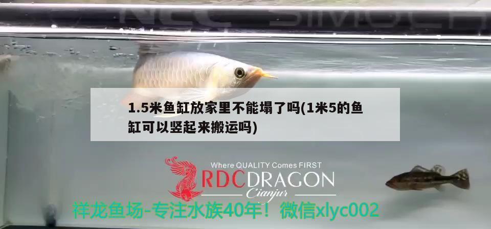 1.5米魚缸放家里不能塌了嗎(1米5的魚缸可以豎起來搬運(yùn)嗎)