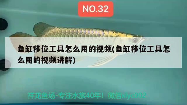 魚缸移位工具怎么用的視頻(魚缸移位工具怎么用的視頻講解)