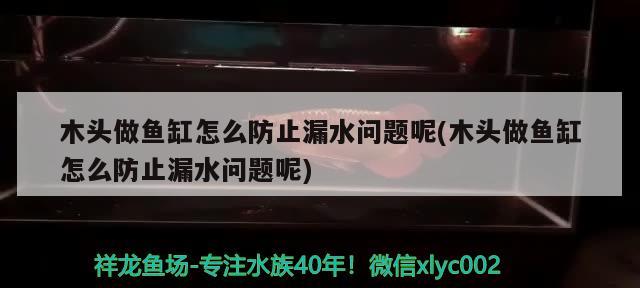 木頭做魚缸怎么防止漏水問題呢(木頭做魚缸怎么防止漏水問題呢)