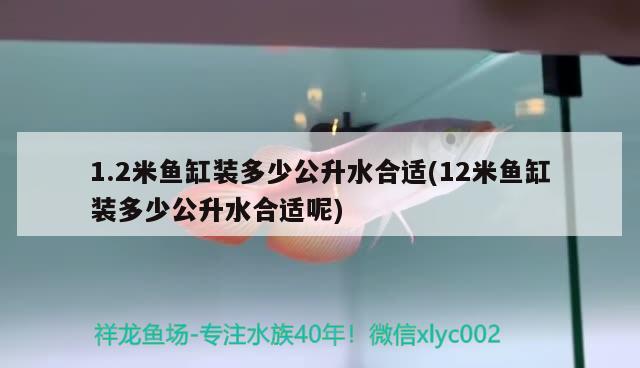 1.2米魚缸裝多少公升水合適(12米魚缸裝多少公升水合適呢) 觀賞龜/鱉飼料