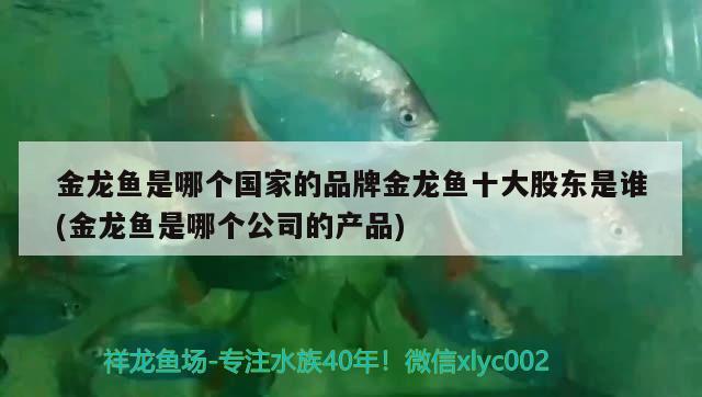 金龍魚(yú)是哪個(gè)國(guó)家的品牌金龍魚(yú)十大股東是誰(shuí)(金龍魚(yú)是哪個(gè)公司的產(chǎn)品)