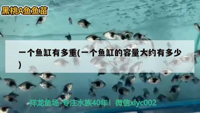 一個(gè)魚缸有多重(一個(gè)魚缸的容量大約有多少) 照明器材 第2張