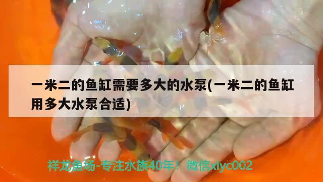 一米二的魚缸需要多大的水泵(一米二的魚缸用多大水泵合適)