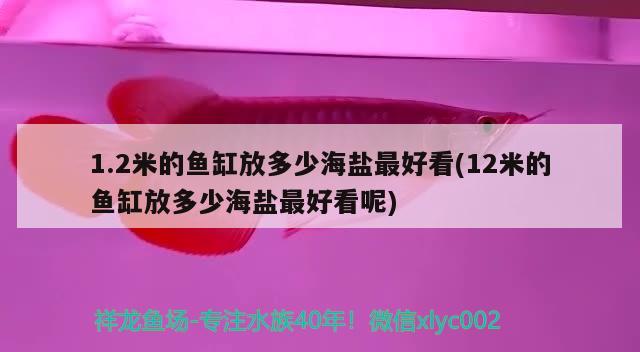 1.2米的魚(yú)缸放多少海鹽最好看(12米的魚(yú)缸放多少海鹽最好看呢) 馬拉莫寶石魚(yú)苗