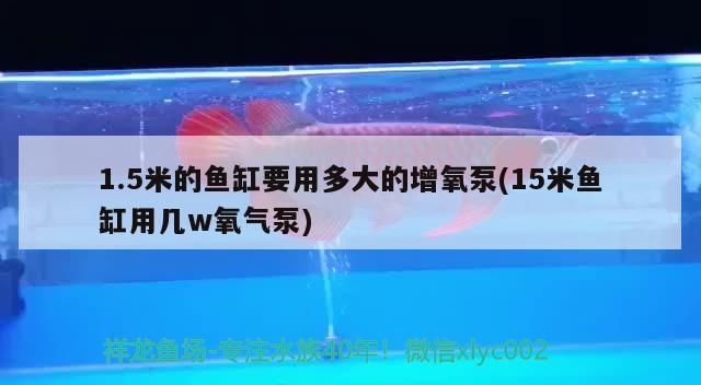 1.5米的魚缸要用多大的增氧泵(15米魚缸用幾w氧氣泵) 皇冠黑白魟魚