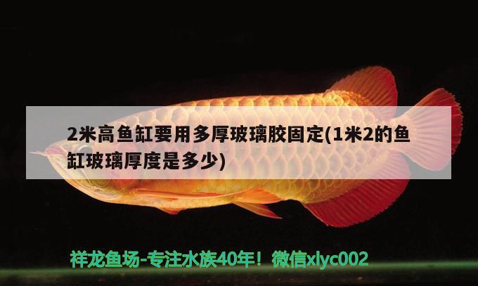 2米高魚缸要用多厚玻璃膠固定(1米2的魚缸玻璃厚度是多少) 水族雜談