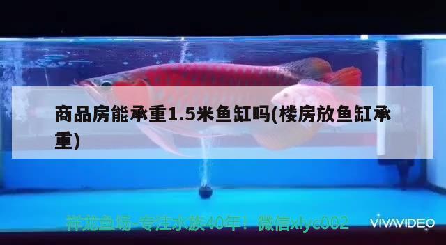 商品房能承重1.5米魚(yú)缸嗎(樓房放魚(yú)缸承重)