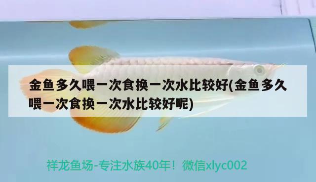 金魚多久喂一次食換一次水比較好(金魚多久喂一次食換一次水比較好呢)