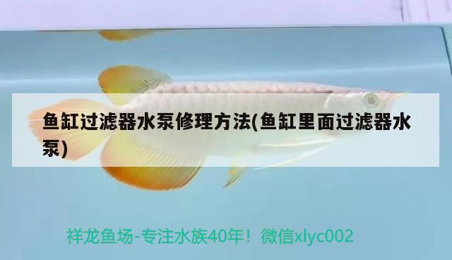 魚缸過濾器水泵修理方法(魚缸里面過濾器水泵) 2024第28屆中國(guó)國(guó)際寵物水族展覽會(huì)CIPS（長(zhǎng)城寵物展2024 CIPS）