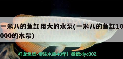 一米八的魚缸用大的水泵(一米八的魚缸10000的水泵)