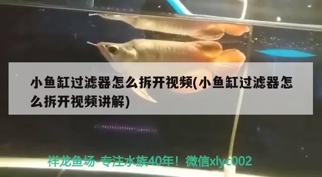 小魚缸過濾器怎么拆開視頻(小魚缸過濾器怎么拆開視頻講解)