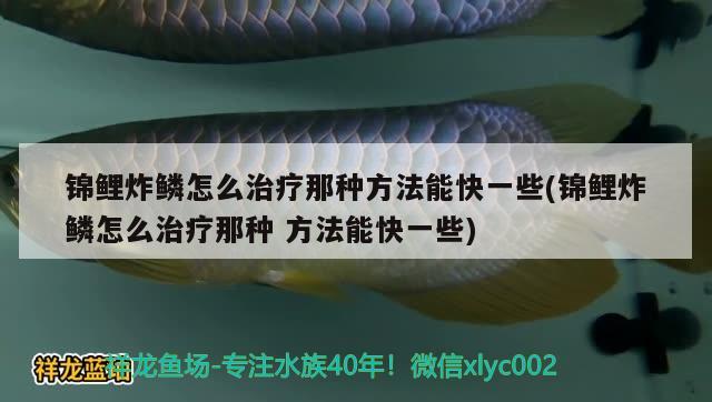 錦鯉炸鱗怎么治療那種方法能快一些(錦鯉炸鱗怎么治療那種方法能快一些)