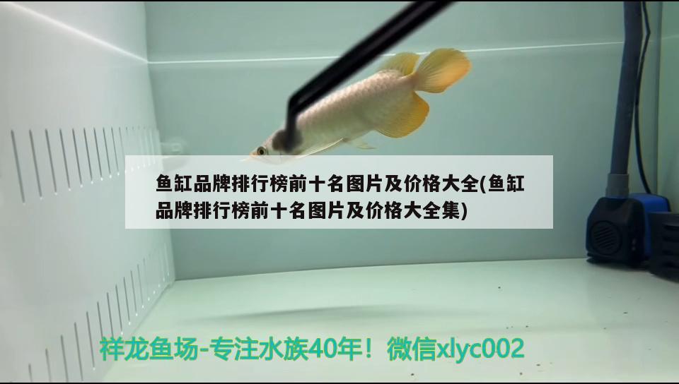 魚缸品牌排行榜前十名圖片及價格大全(魚缸品牌排行榜前十名圖片及價格大全集) 過背金龍魚