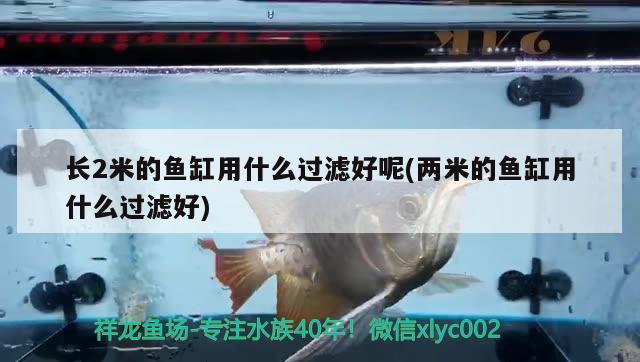 長2米的魚缸用什么過濾好呢(兩米的魚缸用什么過濾好)