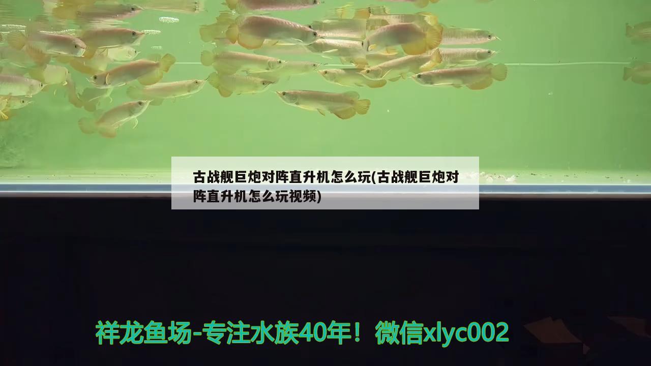 古戰(zhàn)艦巨炮對(duì)陣直升機(jī)怎么玩(古戰(zhàn)艦巨炮對(duì)陣直升機(jī)怎么玩視頻) 觀賞魚