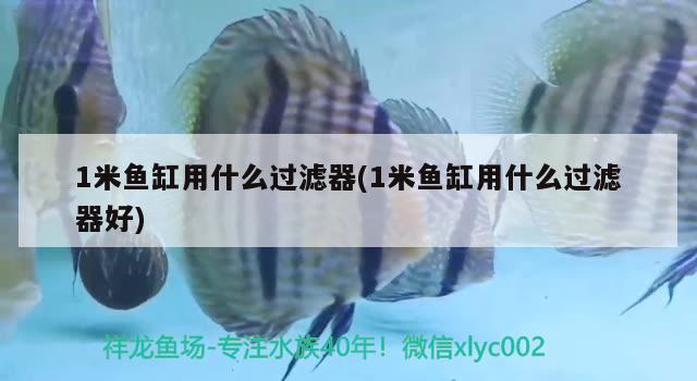 1米魚缸用什么過濾器(1米魚缸用什么過濾器好)