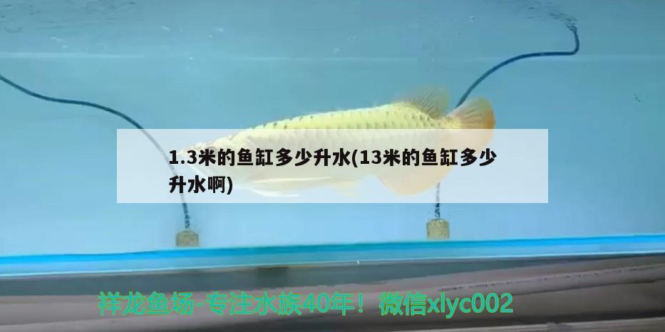 1.3米的魚缸多少升水(13米的魚缸多少升水啊)