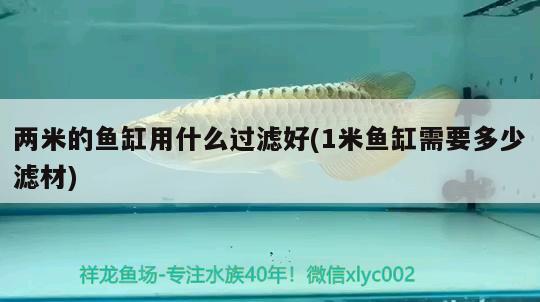 兩米的魚缸用什么過濾好(1米魚缸需要多少濾材) 狗仔招財貓魚