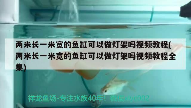 兩米長一米寬的魚缸可以做燈架嗎視頻教程(兩米長一米寬的魚缸可以做燈架嗎視頻教程全集)