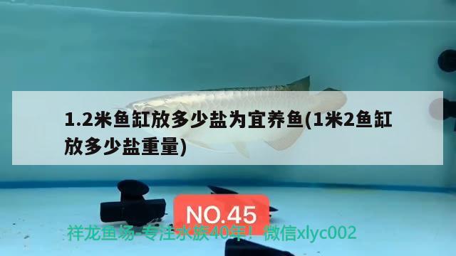 1.2米魚(yú)缸放多少鹽為宜養(yǎng)魚(yú)(1米2魚(yú)缸放多少鹽重量)