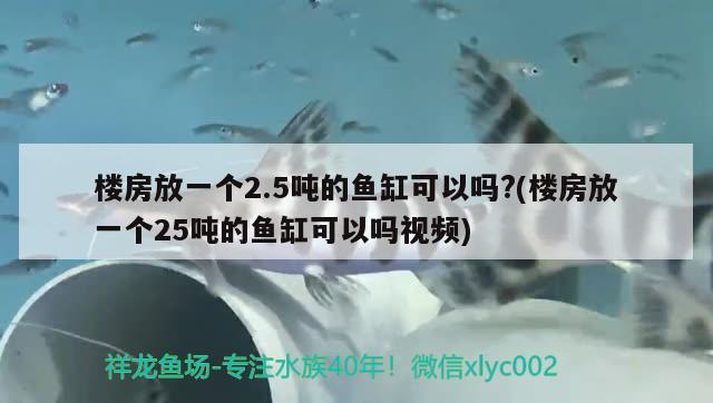 樓房放一個(gè)2.5噸的魚(yú)缸可以嗎?(樓房放一個(gè)25噸的魚(yú)缸可以嗎視頻) 藍(lán)帆三間魚(yú)