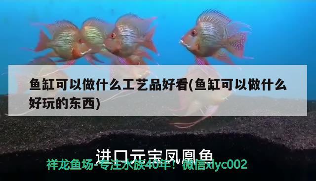 魚缸可以做什么工藝品好看(魚缸可以做什么好玩的東西)