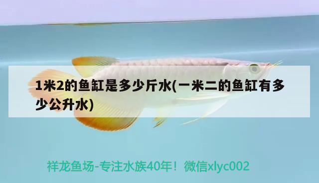 1米2的魚缸是多少斤水(一米二的魚缸有多少公升水) 斯維尼關(guān)刀魚