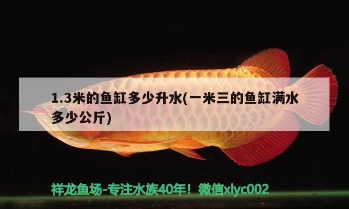 1.3米的魚缸多少升水(一米三的魚缸滿水多少公斤)