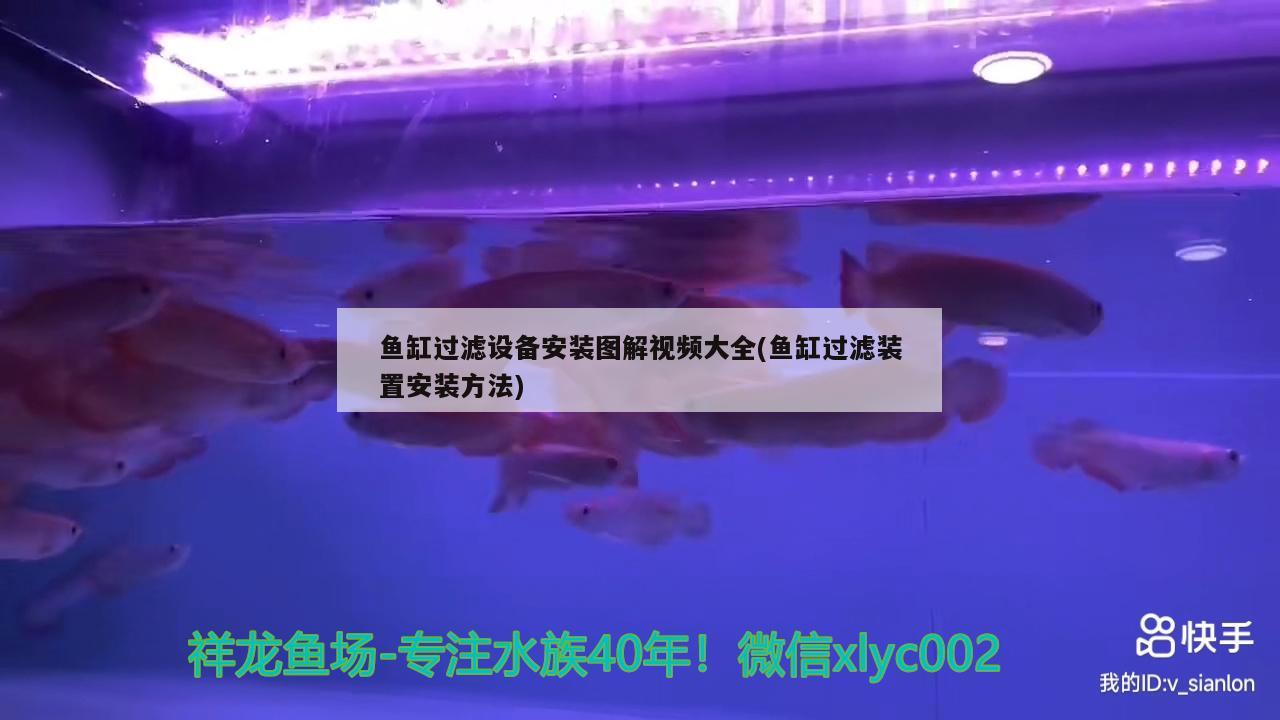 魚缸過濾設(shè)備安裝圖解視頻大全(魚缸過濾裝置安裝方法) 過濾設(shè)備