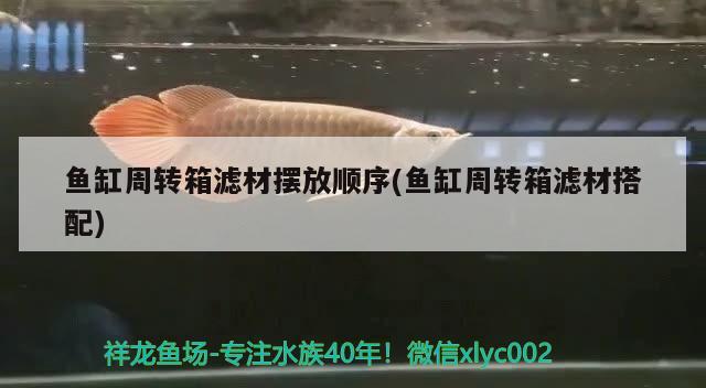 魚缸周轉(zhuǎn)箱濾材擺放順序(魚缸周轉(zhuǎn)箱濾材搭配)