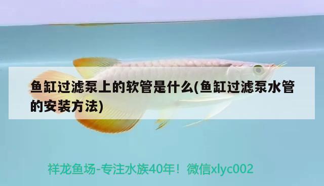 魚缸過濾泵上的軟管是什么(魚缸過濾泵水管的安裝方法) 廣州龍魚批發(fā)市場