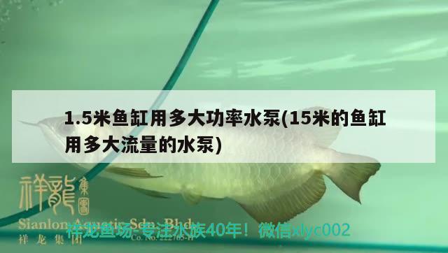 1.5米魚缸用多大功率水泵(15米的魚缸用多大流量的水泵) 紅尾平克魚