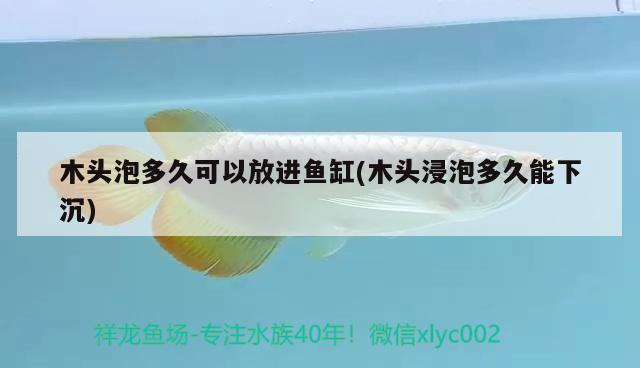 木頭泡多久可以放進魚缸(木頭浸泡多久能下沉)